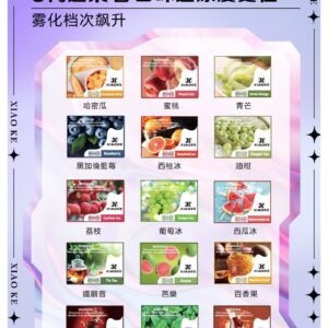 XIAOKE 可替換式電子煙 (適用 RELX6代) (推薦款)